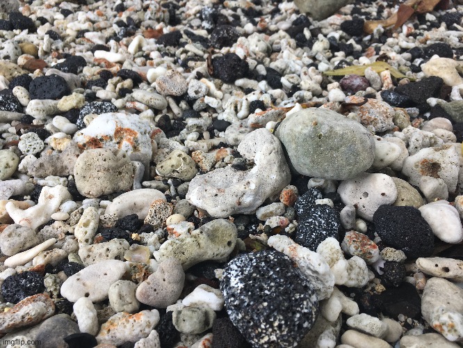Mix of lava rock and coral on a beach in Kona, Hawaii | image tagged in photos | made w/ Imgflip meme maker
