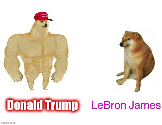 Eyyyy another one | Donald Trump; LeBron James | image tagged in maga buff doge vs cheems | made w/ Imgflip meme maker