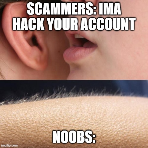 Whisper and Goosebumps | SCAMMERS: IMA HACK YOUR ACCOUNT; NOOBS: | image tagged in whisper and goosebumps | made w/ Imgflip meme maker
