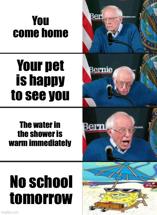 Aaaaaahhhhh | You come home; Your pet is happy to see you; The water in the shower is warm immediately; No school tomorrow | image tagged in bernie sanders reaction nuked | made w/ Imgflip meme maker