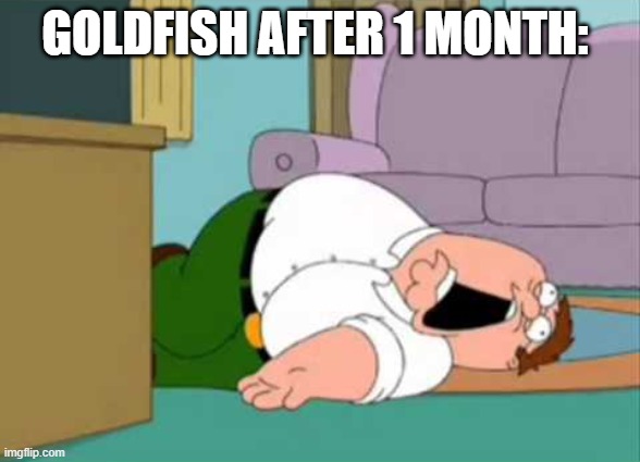 I have memer's block ._. | GOLDFISH AFTER 1 MONTH: | image tagged in dead peter griffin | made w/ Imgflip meme maker