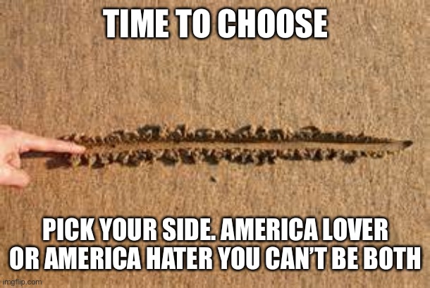 We can have no common ground with those who denigrate this country. Even if they are the President and his cabinet. | TIME TO CHOOSE; PICK YOUR SIDE. AMERICA LOVER OR AMERICA HATER YOU CAN’T BE BOTH | image tagged in cross the line,god bless america,made in usa,your country needs you,patriotism | made w/ Imgflip meme maker