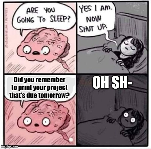 Are you going to sleep? | OH SH-; Did you remember to print your project that's due tomorrow? | image tagged in are you going to sleep | made w/ Imgflip meme maker