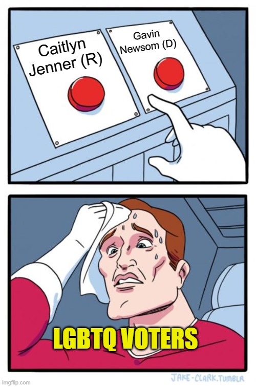Tough choice | Gavin Newsom (D); Caitlyn Jenner (R); LGBTQ VOTERS | image tagged in memes,two buttons,lgbtq | made w/ Imgflip meme maker