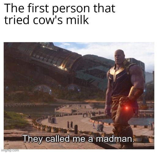 image tagged in thanos they called me a madman | made w/ Imgflip meme maker