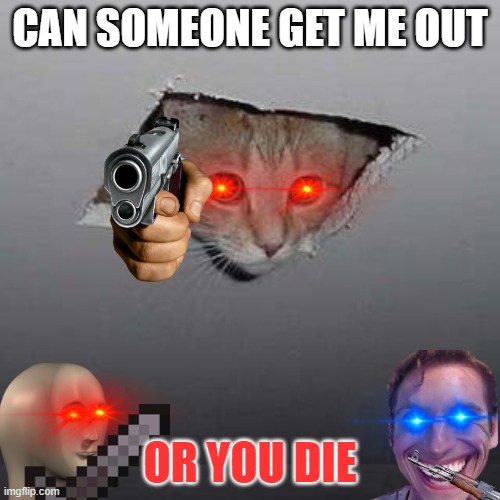 if you don't let your cat go out.... | CAN SOMEONE GET ME OUT; OR YOU DIE | image tagged in memes,ceiling cat | made w/ Imgflip meme maker