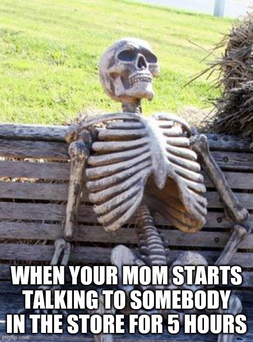 That's the truth | WHEN YOUR MOM STARTS TALKING TO SOMEBODY IN THE STORE FOR 5 HOURS | image tagged in memes,waiting skeleton | made w/ Imgflip meme maker