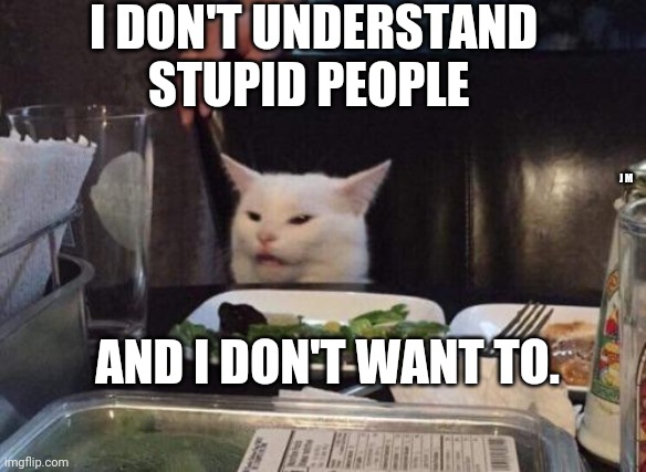 Salad cat | I DON'T UNDERSTAND STUPID PEOPLE; J M; AND I DON'T WANT TO. | image tagged in salad cat | made w/ Imgflip meme maker