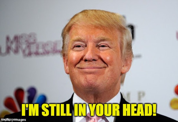 Donald trump approves | I'M STILL IN YOUR HEAD! | image tagged in donald trump approves | made w/ Imgflip meme maker