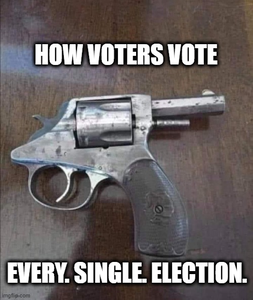 The Ballot Box Blues | HOW VOTERS VOTE; EVERY. SINGLE. ELECTION. | image tagged in voters at all elections | made w/ Imgflip meme maker