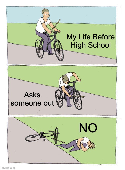 Oh | My Life Before High School; Asks someone out; NO | image tagged in memes,bike fall | made w/ Imgflip meme maker