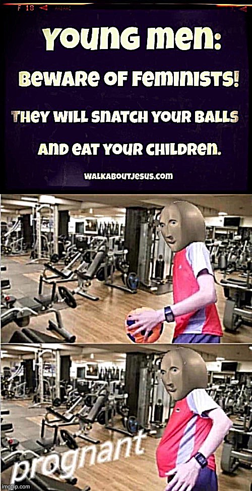 They will snatch your balls and then impregnate your son with them. Then eat him | image tagged in feminism,feminist,pregnancy,feminists,feminism is cancer,meme man | made w/ Imgflip meme maker