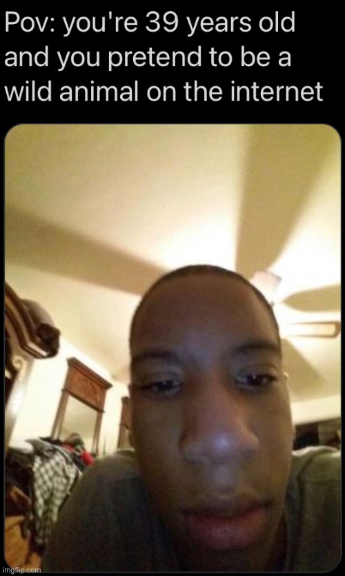 ._. | image tagged in lol | made w/ Imgflip meme maker