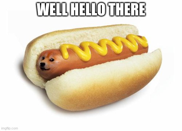 well hello there | WELL HELLO THERE | image tagged in doge hot doge | made w/ Imgflip meme maker