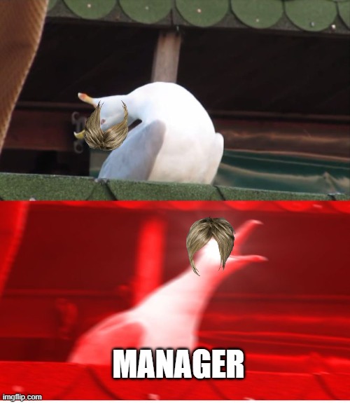 Screamin seagull | MANAGER | image tagged in screaming bird,karen calling manager | made w/ Imgflip meme maker