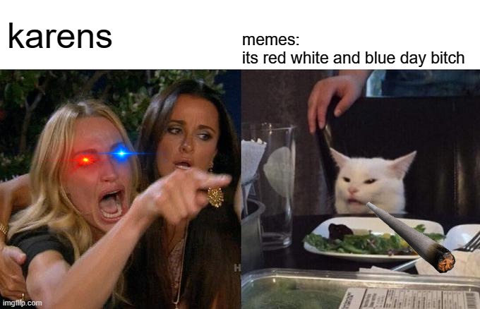 Woman Yelling At Cat Meme | karens; memes:
its red white and blue day bitch | image tagged in memes,woman yelling at cat | made w/ Imgflip meme maker