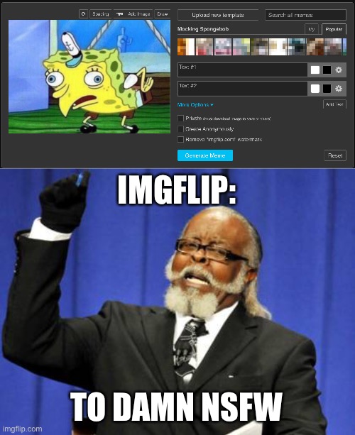 IMGFLIP:; TO DAMN NSFW | image tagged in memes,too damn high | made w/ Imgflip meme maker