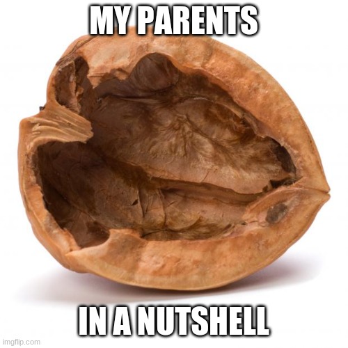 Nutshell | MY PARENTS IN A NUTSHELL | image tagged in nutshell | made w/ Imgflip meme maker