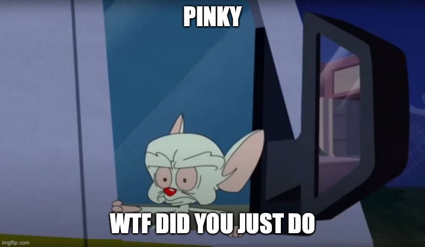 Oh noooooo......... | PINKY; WTF DID YOU JUST DO | image tagged in the brain rearview,pinky and the brain,animaniacs,wtf | made w/ Imgflip meme maker