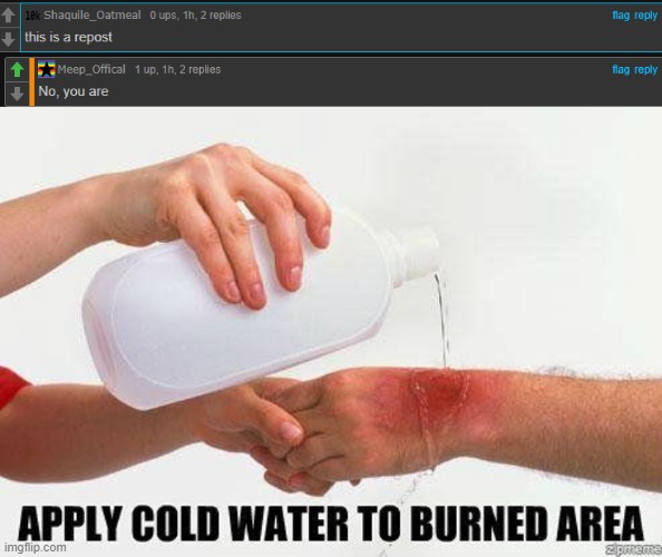 Rostid | image tagged in apply cold water to burned area,roasted,oof size extreme,oof | made w/ Imgflip meme maker