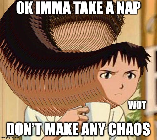 Cya | OK IMMA TAKE A NAP; DON’T MAKE ANY CHAOS | image tagged in wot | made w/ Imgflip meme maker