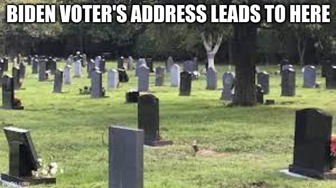 Biden voters | BIDEN VOTER'S ADDRESS LEADS TO HERE | image tagged in rigged elections,conservative | made w/ Imgflip meme maker