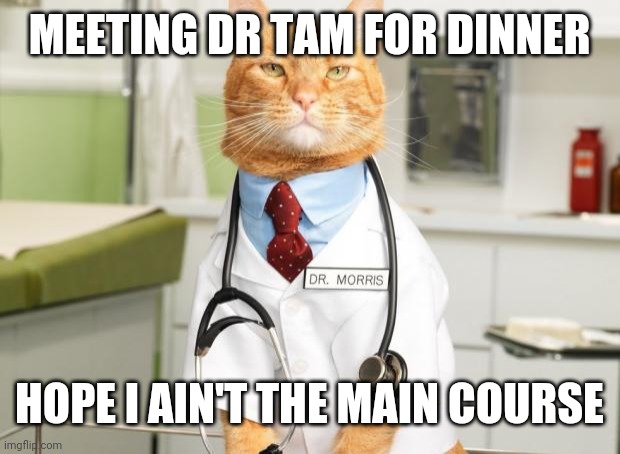 Cat Doctor |  MEETING DR TAM FOR DINNER; HOPE I AIN'T THE MAIN COURSE | image tagged in cat doctor | made w/ Imgflip meme maker