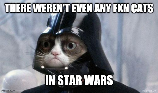 Grumpy Cat Star Wars | THERE WEREN'T EVEN ANY FKN CATS; IN STAR WARS | image tagged in memes,grumpy cat star wars,grumpy cat | made w/ Imgflip meme maker