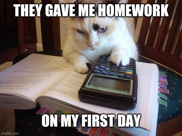 Math cat |  THEY GAVE ME HOMEWORK; ON MY FIRST DAY | image tagged in math cat | made w/ Imgflip meme maker