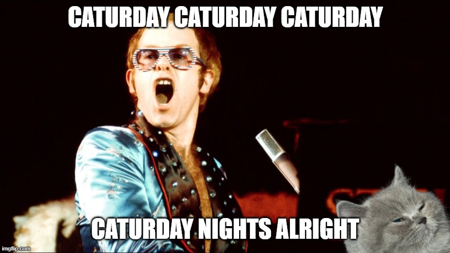 Elton John Caturday Nights Alright | CATURDAY CATURDAY CATURDAY; CATURDAY NIGHTS ALRIGHT | image tagged in elton john,cats,funny,caturday | made w/ Imgflip meme maker