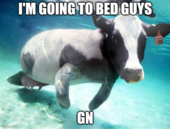 Ocean cow | I'M GOING TO BED GUYS; GN | image tagged in ocean cow | made w/ Imgflip meme maker