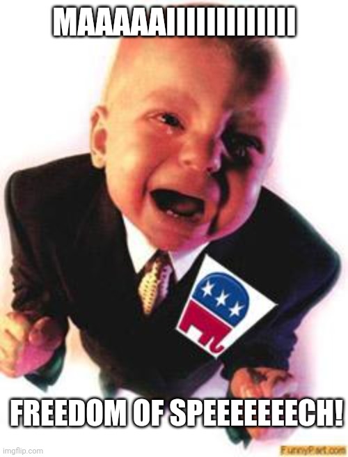 Crying republican | MAAAAAIIIIIIIIIIIII FREEDOM OF SPEEEEEEECH! | image tagged in crying republican | made w/ Imgflip meme maker