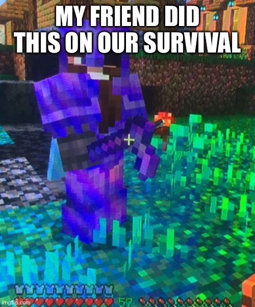  MY FRIEND DID THIS ON OUR SURVIVAL | image tagged in minecraft,stupid people,netherite,memes | made w/ Imgflip meme maker