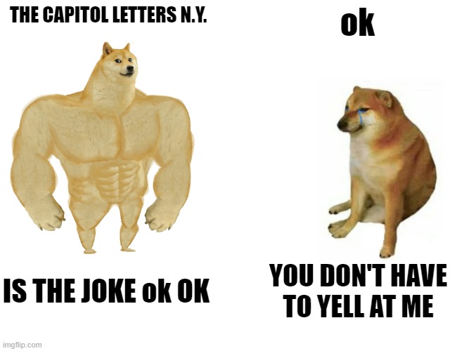 Buff Doge vs. Cheems Meme | THE CAPITOL LETTERS N.Y. ok IS THE JOKE ok OK YOU DON'T HAVE TO YELL AT ME | image tagged in memes,buff doge vs cheems | made w/ Imgflip meme maker