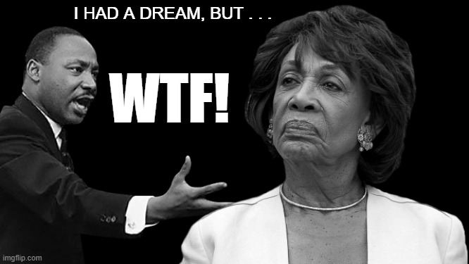 MLK vs. Maxine Waters | I HAD A DREAM, BUT . . . WTF! | image tagged in mlk,maxine waters,wtf,democrats,big mouth,idiot | made w/ Imgflip meme maker