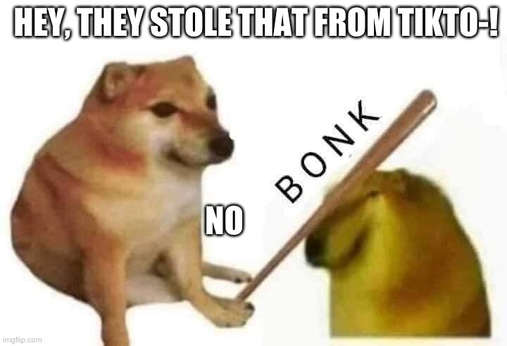 NO | HEY, THEY STOLE THAT FROM TIKTO-! NO | image tagged in doge bonk,tiktok sucks | made w/ Imgflip meme maker