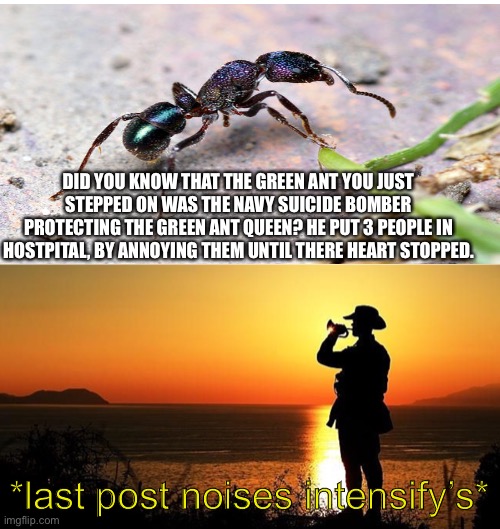 Respect | DID YOU KNOW THAT THE GREEN ANT YOU JUST STEPPED ON WAS THE NAVY SUICIDE BOMBER PROTECTING THE GREEN ANT QUEEN? HE PUT 3 PEOPLE IN HOSTPITAL, BY ANNOYING THEM UNTIL THERE HEART STOPPED. *last post noises intensify’s* | image tagged in imgflip | made w/ Imgflip meme maker