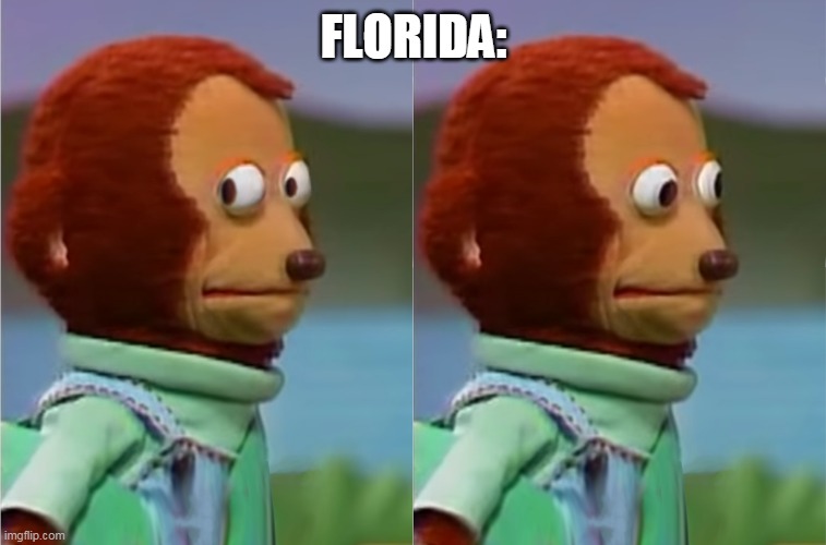 puppet Monkey looking away | FLORIDA: | image tagged in puppet monkey looking away | made w/ Imgflip meme maker
