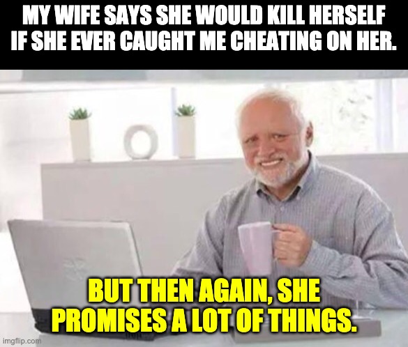 Promises | MY WIFE SAYS SHE WOULD KILL HERSELF IF SHE EVER CAUGHT ME CHEATING ON HER. BUT THEN AGAIN, SHE PROMISES A LOT OF THINGS. | image tagged in harold | made w/ Imgflip meme maker