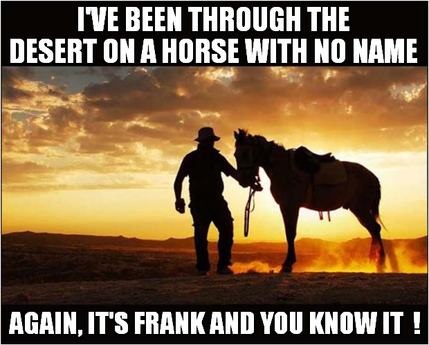 A Horse With A Name ! | I'VE BEEN THROUGH THE DESERT ON A HORSE WITH NO NAME; AGAIN, IT'S FRANK AND YOU KNOW IT  ! | image tagged in horse,song lyrics | made w/ Imgflip meme maker