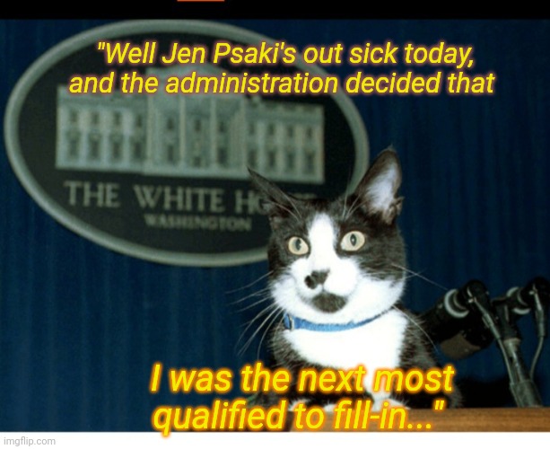 Cat is smarter | "Well Jen Psaki's out sick today, and the administration decided that; I was the next most qualified to fill-in..." | image tagged in political,fools,cat,speaker | made w/ Imgflip meme maker