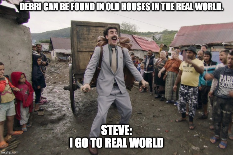haha netherite go brr | DEBRI CAN BE FOUND IN OLD HOUSES IN THE REAL WORLD. STEVE:
I GO TO REAL WORLD | image tagged in steve,xd | made w/ Imgflip meme maker