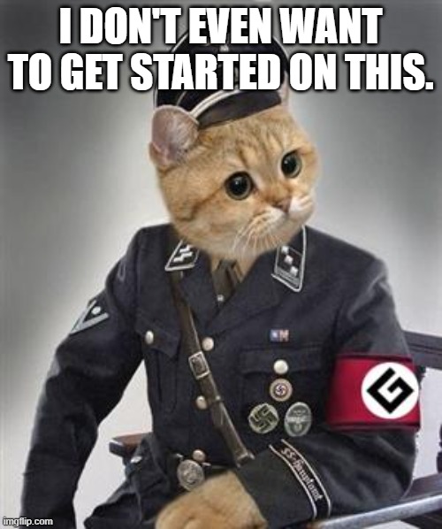 Grammar Nazi Cat | I DON'T EVEN WANT TO GET STARTED ON THIS. | image tagged in grammar nazi cat | made w/ Imgflip meme maker
