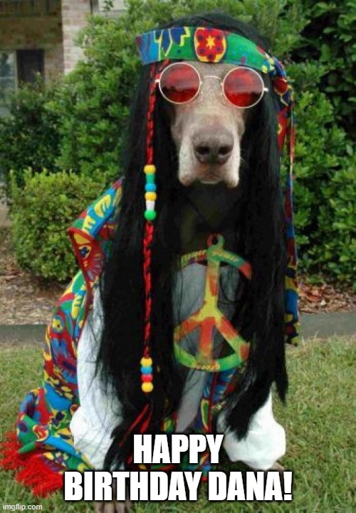 Happy Birthday Dana! | HAPPY BIRTHDAY DANA! | image tagged in hippie dog | made w/ Imgflip meme maker
