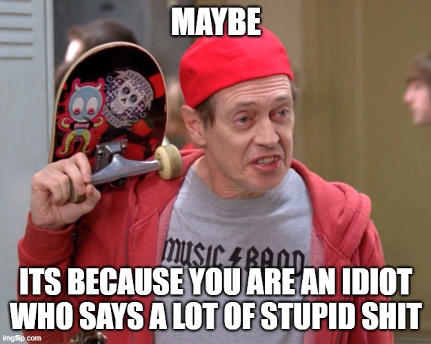 Steve Buscemi Fellow Kids | MAYBE ITS BECAUSE YOU ARE AN IDIOT WHO SAYS A LOT OF STUPID SHIT | image tagged in steve buscemi fellow kids | made w/ Imgflip meme maker