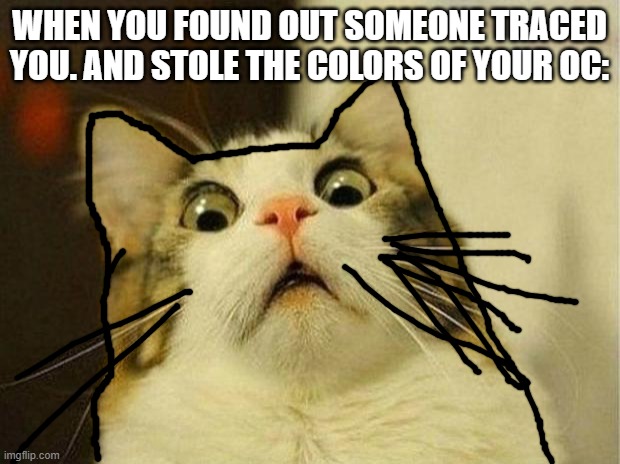 Scared Cat Meme | WHEN YOU FOUND OUT SOMEONE TRACED YOU. AND STOLE THE COLORS OF YOUR OC: | image tagged in memes,scared cat | made w/ Imgflip meme maker