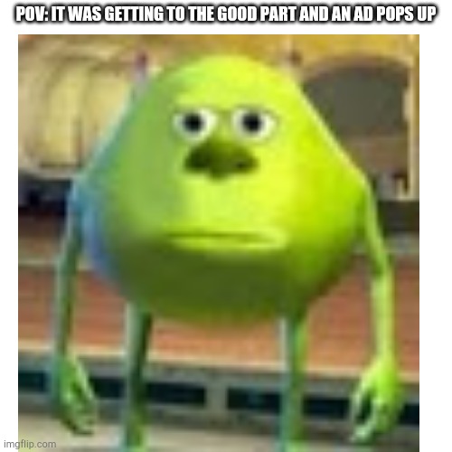 Bruh #3 | POV: IT WAS GETTING TO THE GOOD PART AND AN AD POPS UP | image tagged in memes,funny,mike wazowski,pov | made w/ Imgflip meme maker