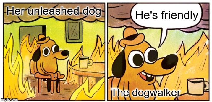 Dogwalkers be like | He's friendly; Her unleashed dog; The dogwalker | image tagged in memes,this is fine,dog,dogwalker | made w/ Imgflip meme maker