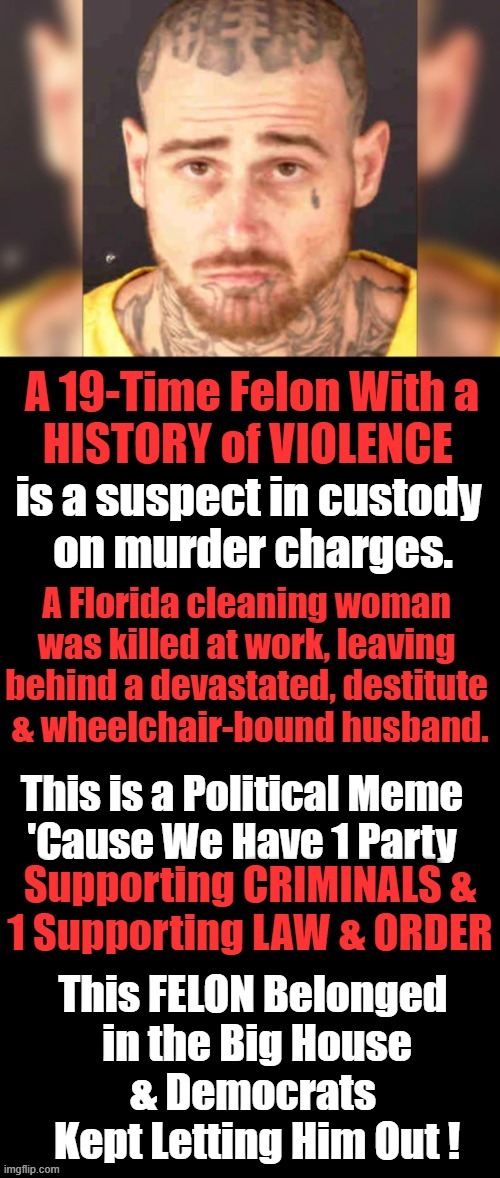 Habitual Felons Need LIFE in PRISON.... | image tagged in politics,democrats,liberalism,partners in crime,criminal minds,criminals | made w/ Imgflip meme maker