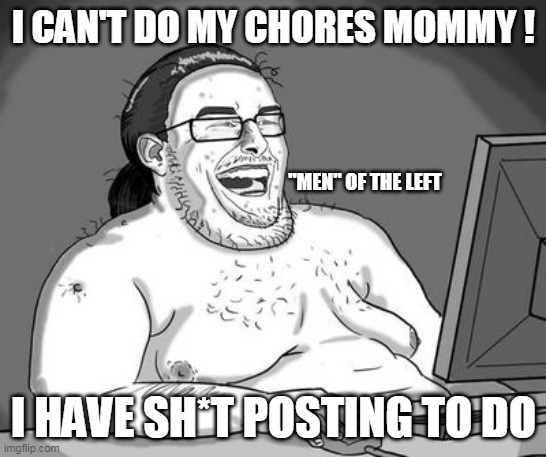 Basement dweller | I CAN'T DO MY CHORES MOMMY ! I HAVE SH*T POSTING TO DO "MEN" OF THE LEFT | image tagged in basement dweller | made w/ Imgflip meme maker